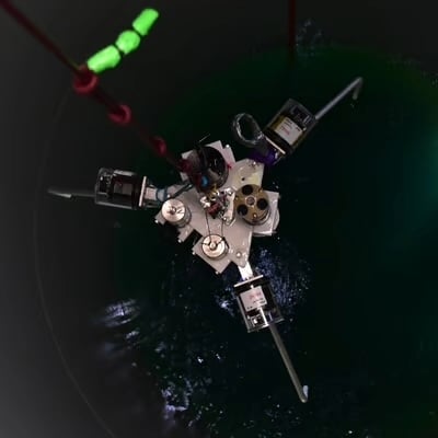 Monitoring van mariene biodiversiteit. Foto: The Rich North Sea Monitoring van mariene biodiversiteit. Foto: The Rich North Sea